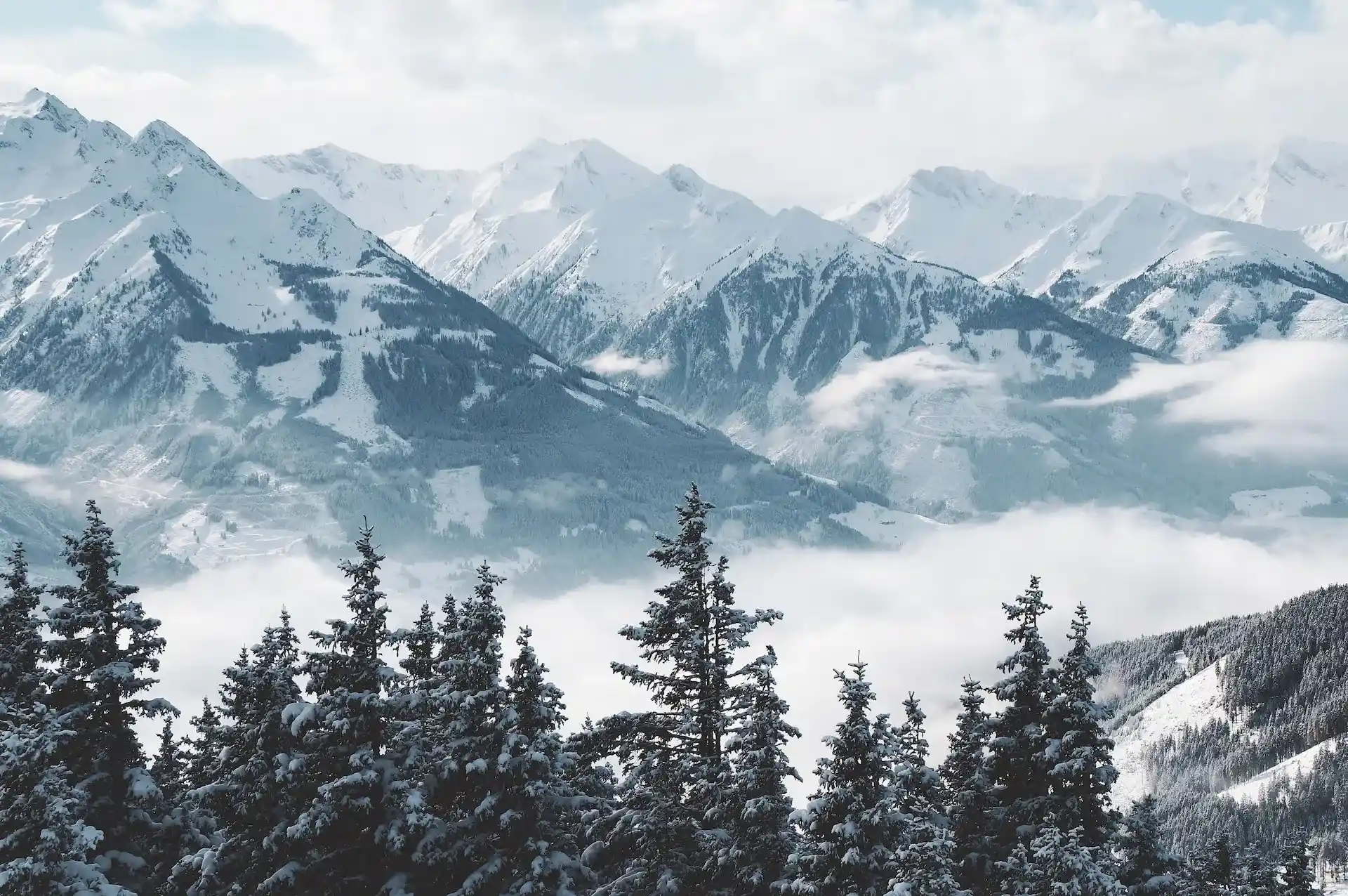 Snow-covered mountains and evergreen trees